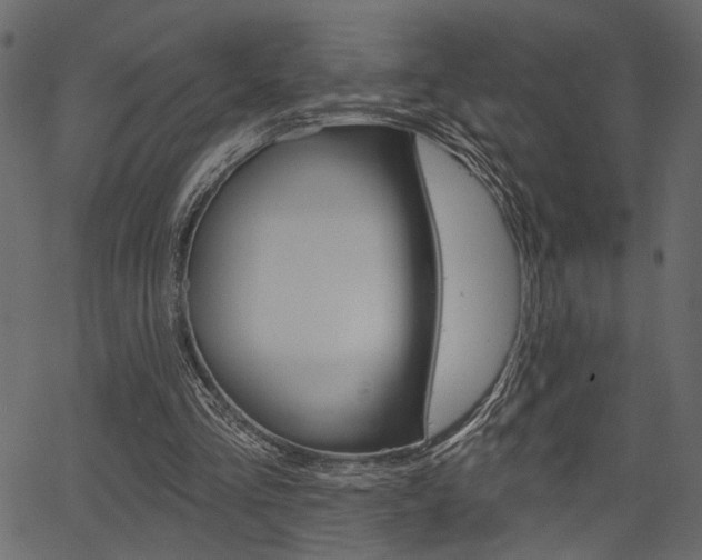 X0000067390293200603311002