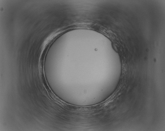 X0000067390294200603311002