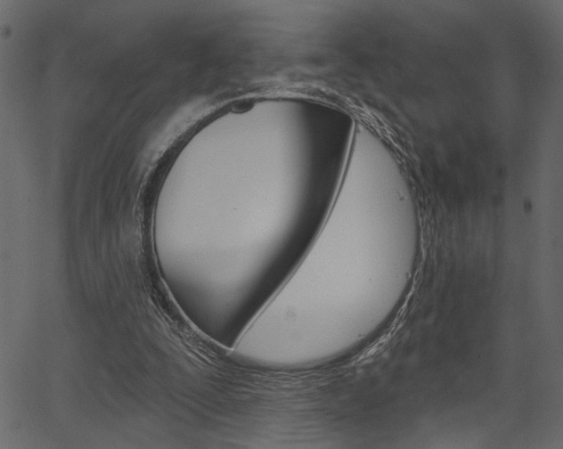 X0000067390295200603311002