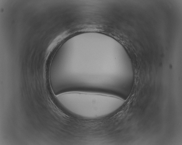 X0000067390296200603311002