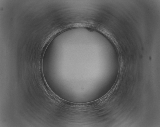 X0000067390297200603311002