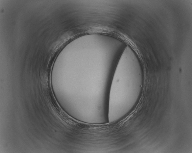 X0000067390298200603311002