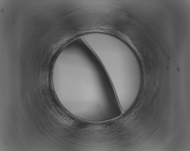 X0000067390299200603311002