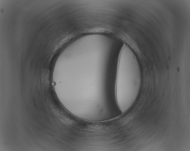 X0000067390300200603311002