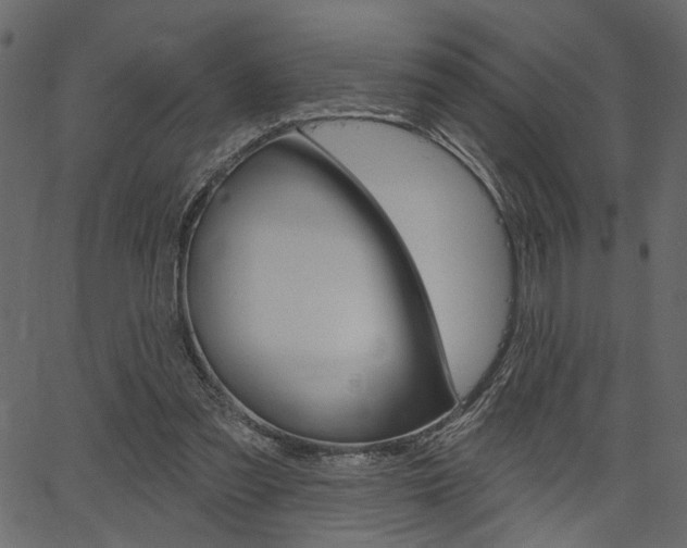 X0000067390301200603311002