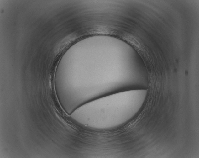 X0000067390302200603311002