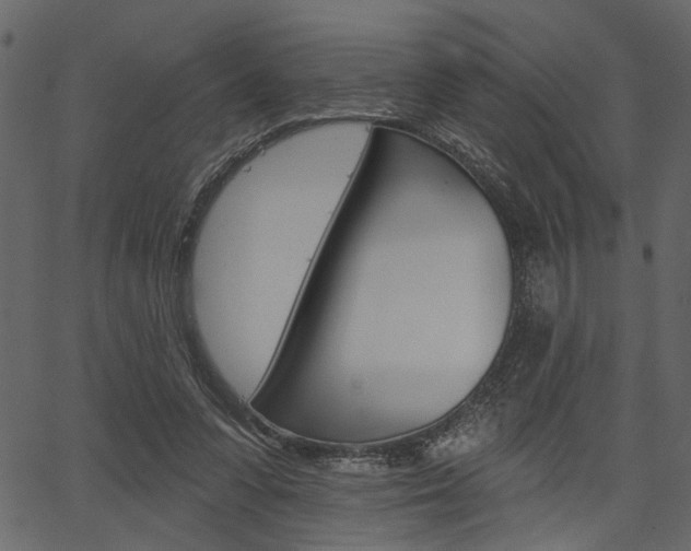 X0000067390303200603311002