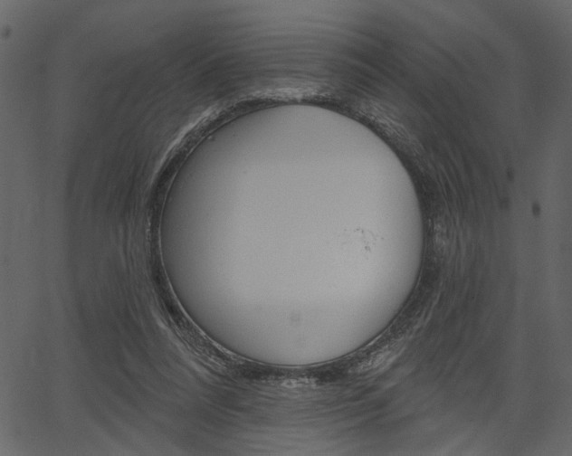 X0000067390304200603311002