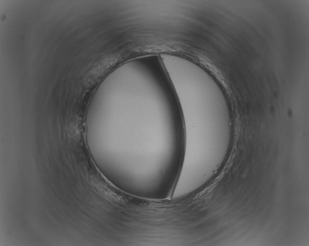 X0000067390305200603311002