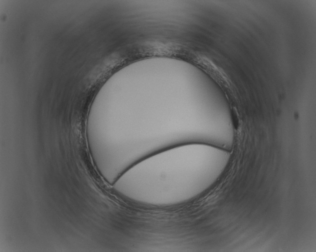 X0000067390306200603311002