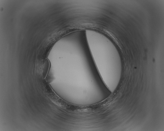 X0000067390307200603311002