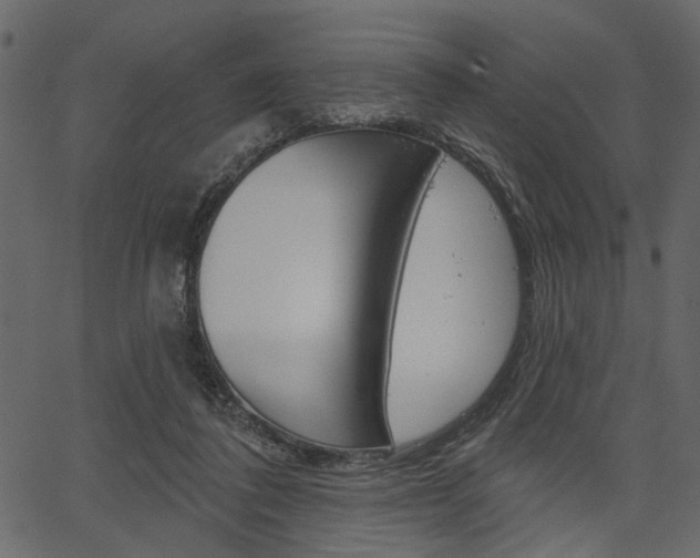 X0000067390308200603311002