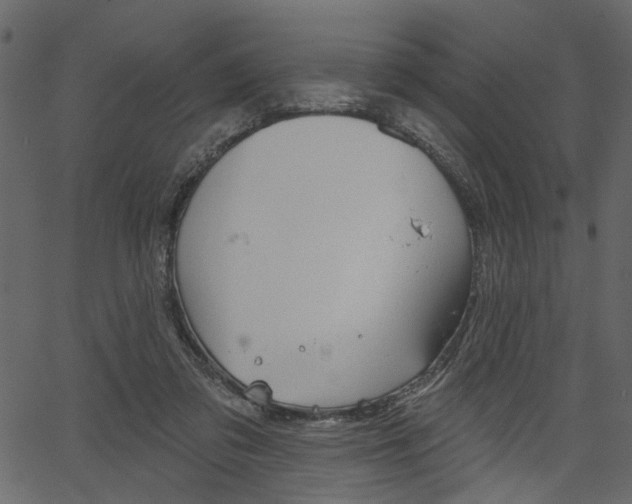 X0000067390309200603311002