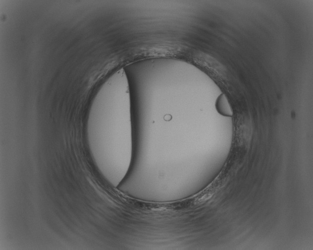 X0000067390310200603311002