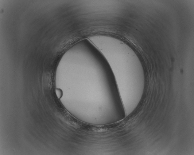 X0000067390311200603311002