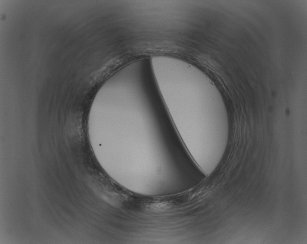 X0000067390312200603311002