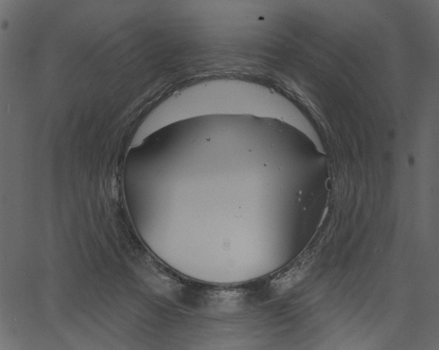 X0000067390313200603311002