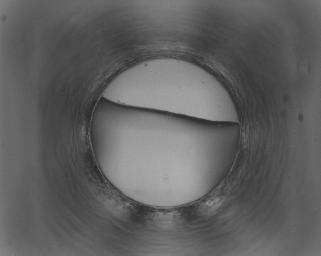 X0000067390314200603311002