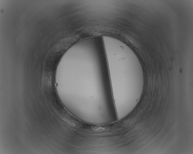 X0000067390315200603311002