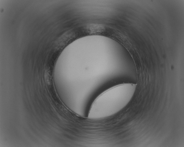 X0000067390316200603311002