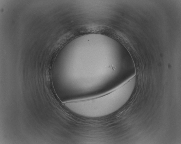 X0000067390317200603311002