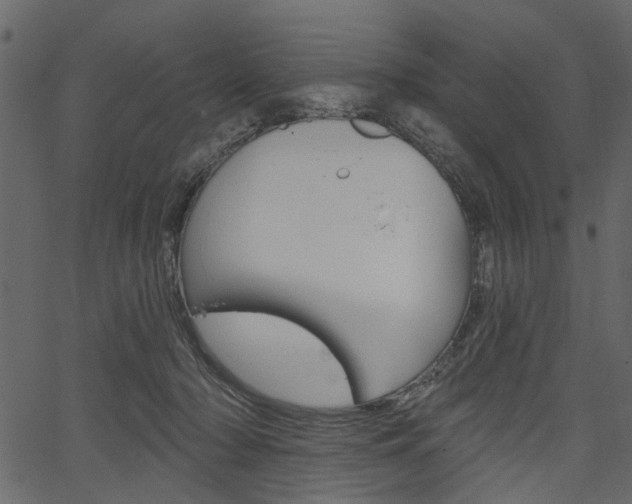 X0000067390318200603311002