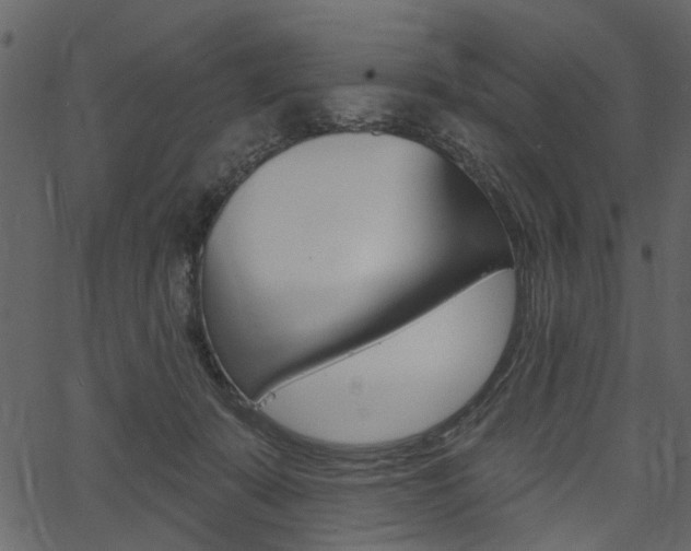 X0000067390319200603311002