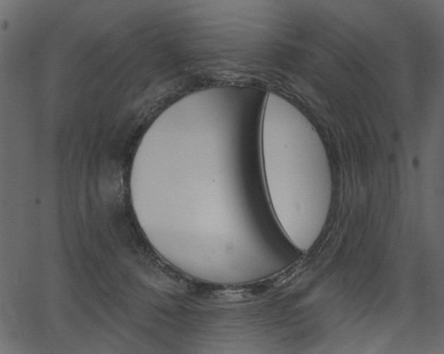 X0000067390320200603311002