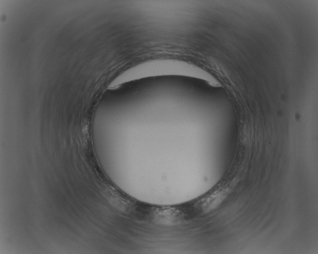 X0000067390321200603311002