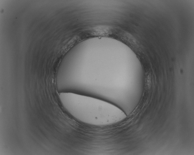 X0000067390322200603311002