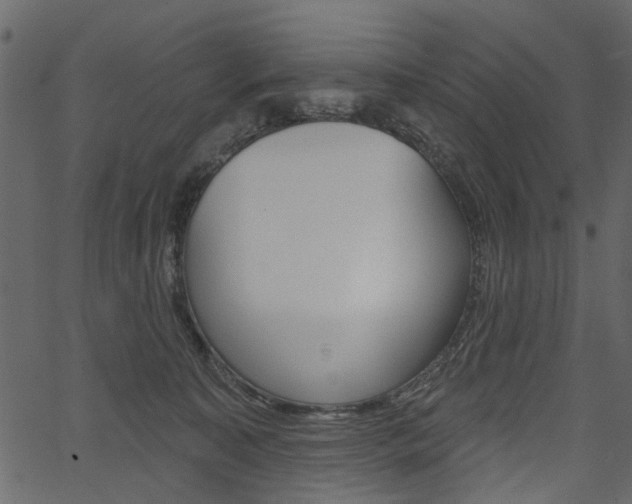 X0000067390323200603311002