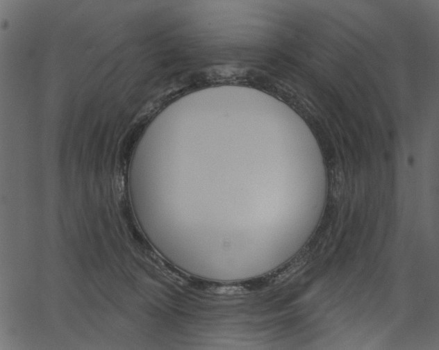 X0000067390324200603311002