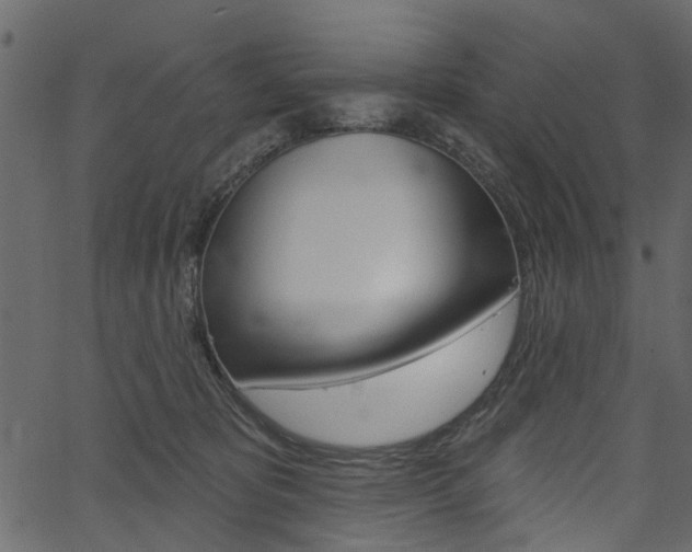 X0000067390325200603311002