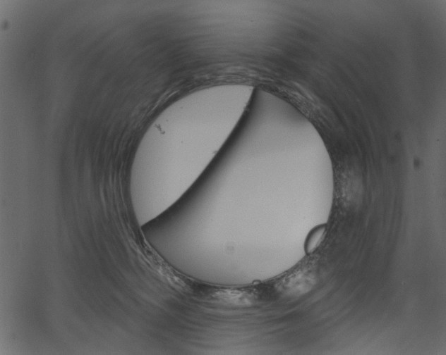 X0000067390326200603311002