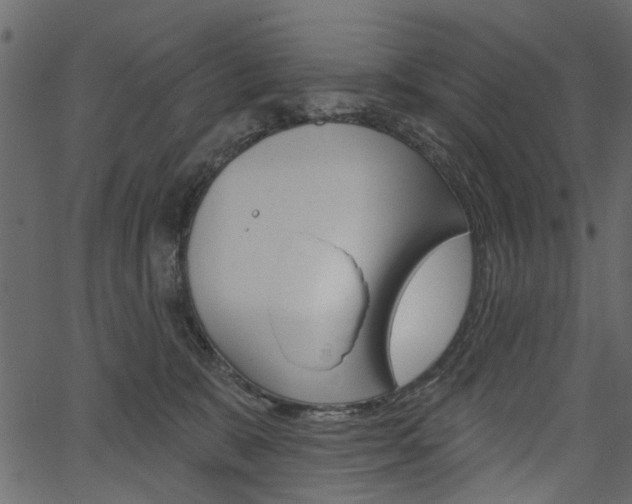 X0000067390327200603311002