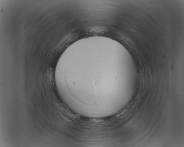 X0000067390328200603311002