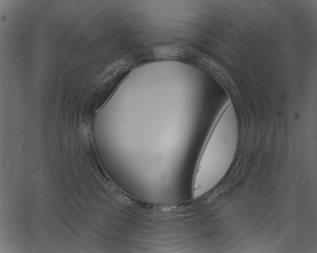 X0000067390329200603311002