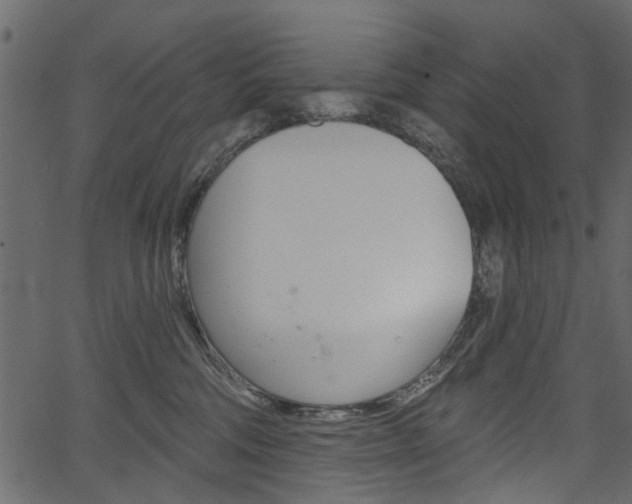 X0000067390330200603311002