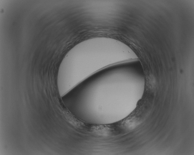 X0000067390331200603311002