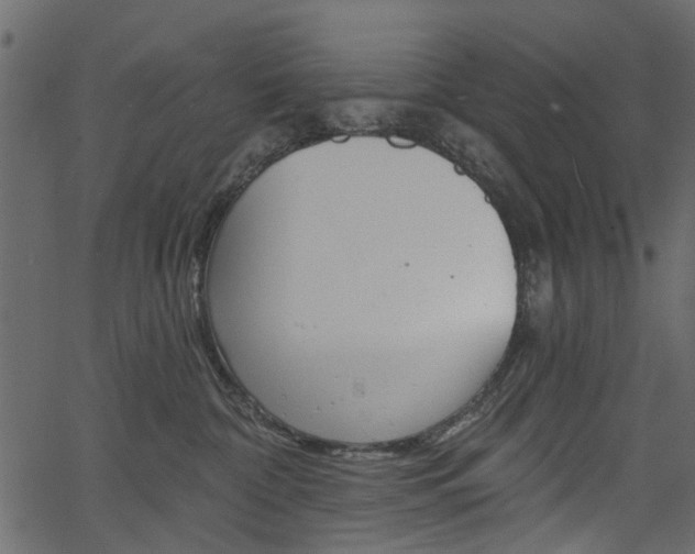 X0000067390332200603311002