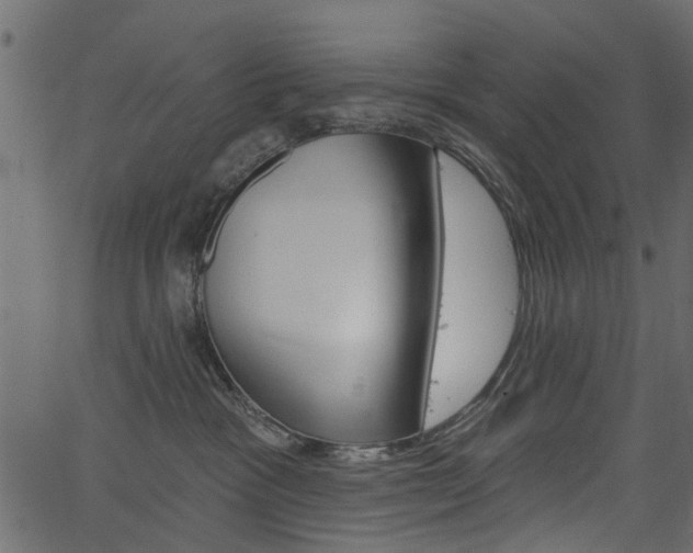 X0000067390333200603311002