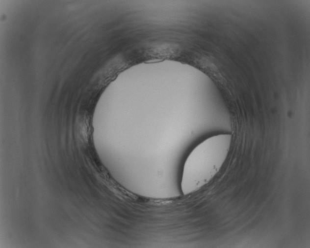 X0000067390334200603311002