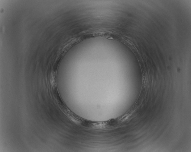 X0000067390335200603311002