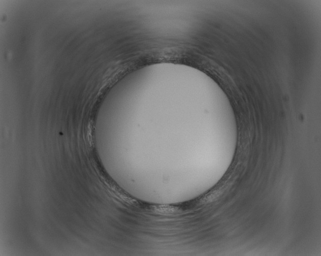 X0000067390336200603311002