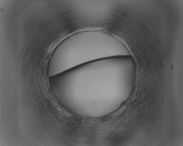 X0000067390337200603311001