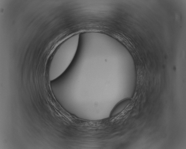 X0000067390338200603311001