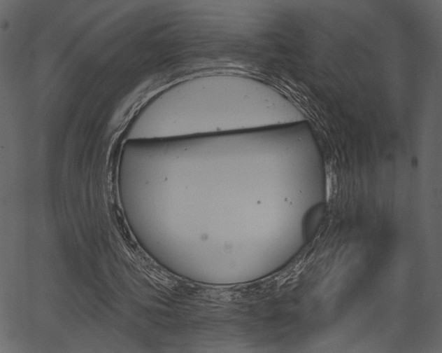 X0000067390339200603311001