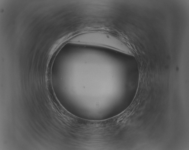 X0000067390340200603311001