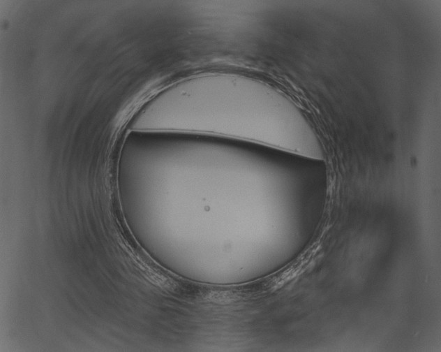 X0000067390341200603311001