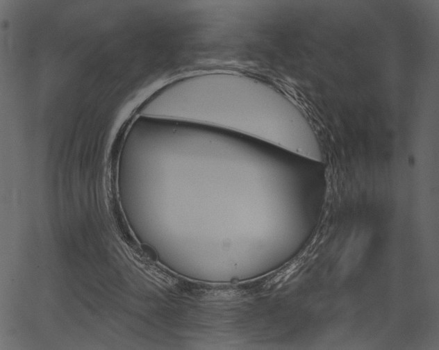 X0000067390342200603311001